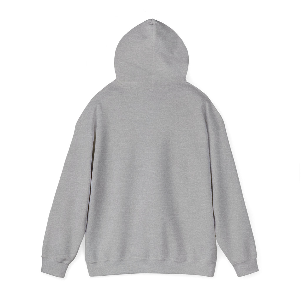 Sunset Horizon Hoodie — Scenic Evening Landscape Sweatshirt