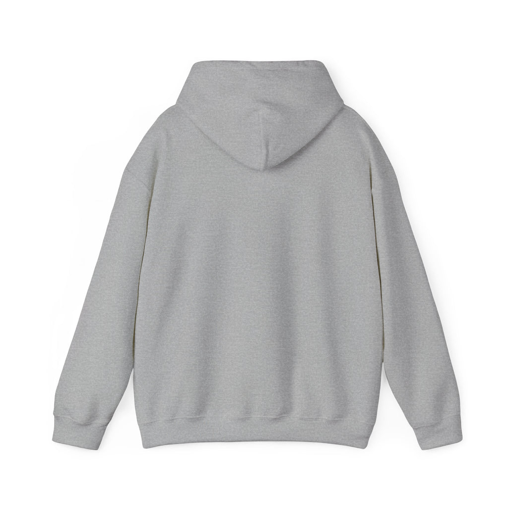 Sunset Horizon Hoodie — Scenic Evening Landscape Sweatshirt